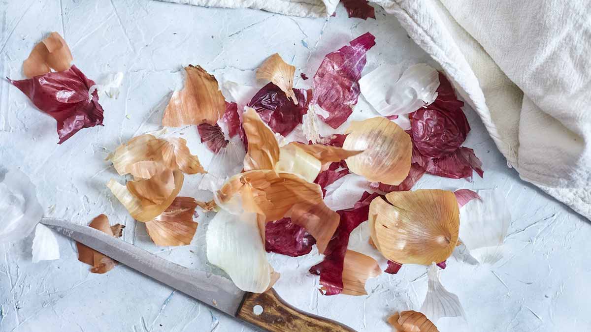 how to use onion peel for rose plant