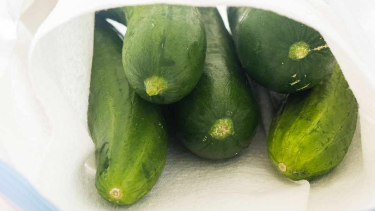 keep cucumber in bags