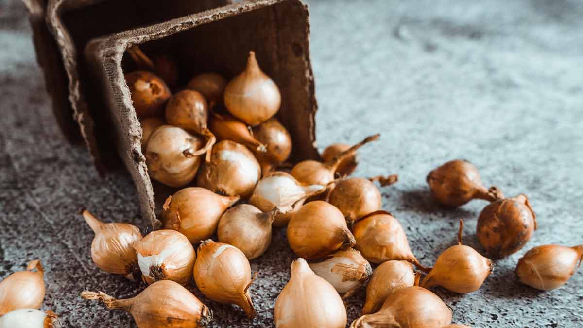 onion hacks for kitchen