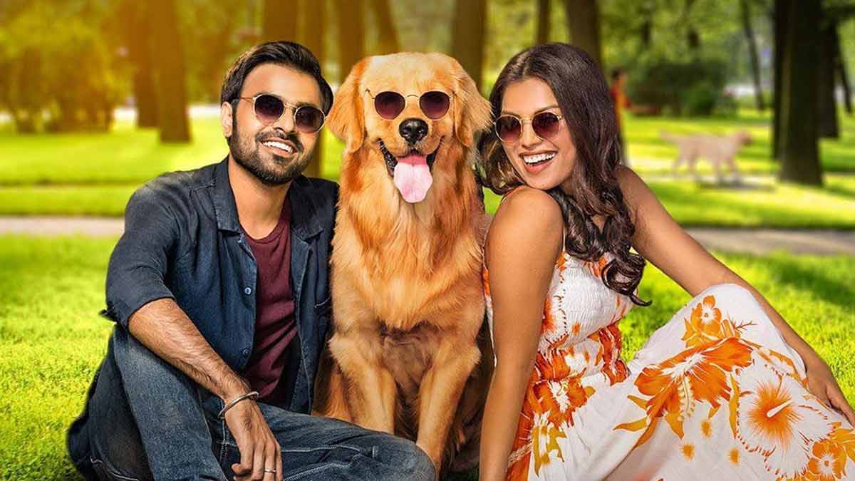 romantic web series based on modern day relationships