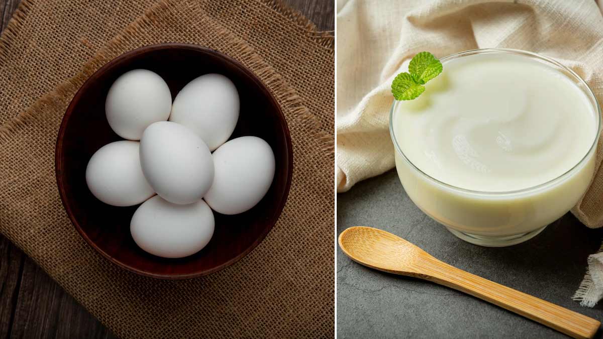 Egg and Yoghurt Hair Mask