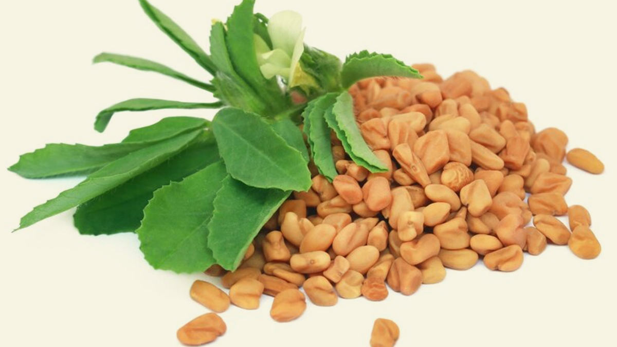 Fenugreek for Diabetes