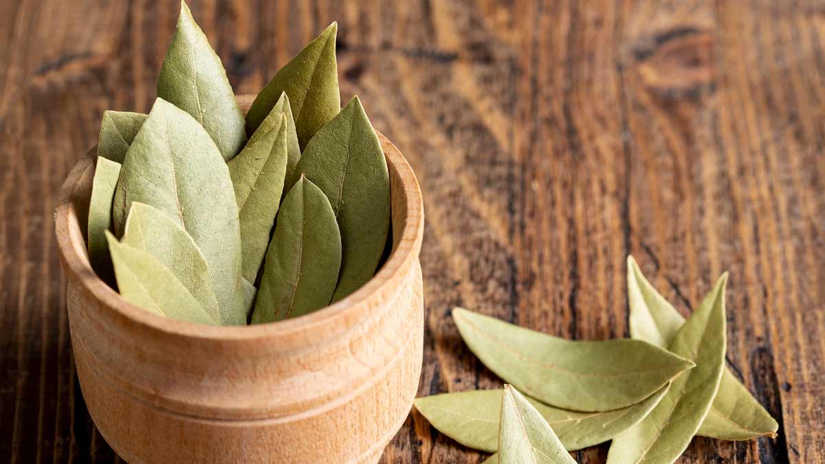 HOW TO PREPARE BAY LEAVES OIL