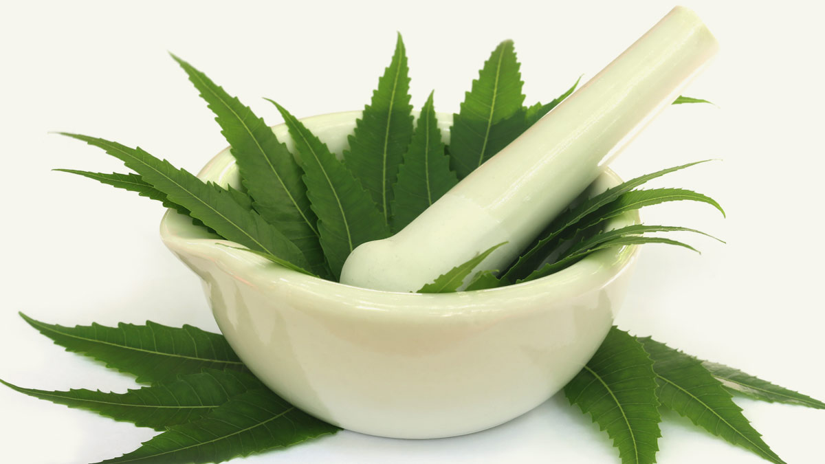 How to save garam masala from bugs