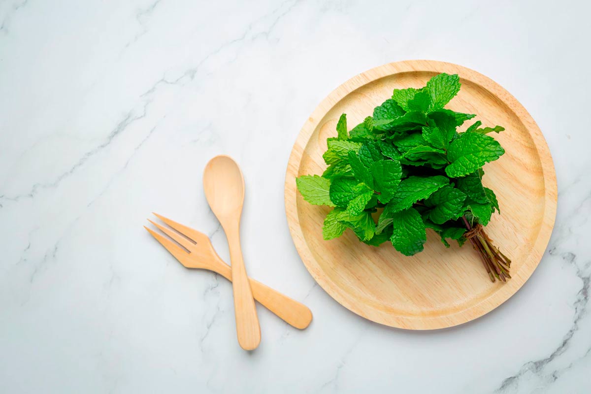Mint leaves for mouth freshener