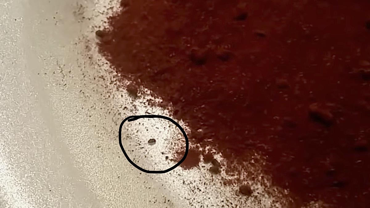 Reasons bugs in garam masala