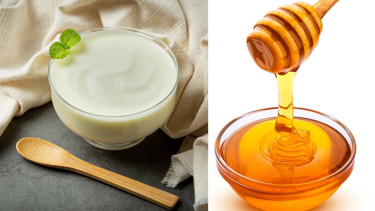 Yoghurt And Honey Hair Pack