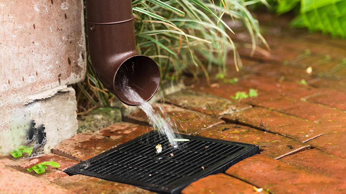 drainage