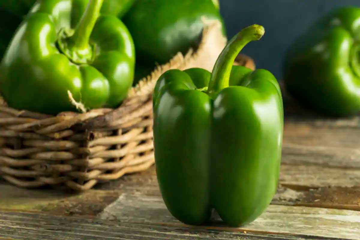 easy tips to pick good capsicum