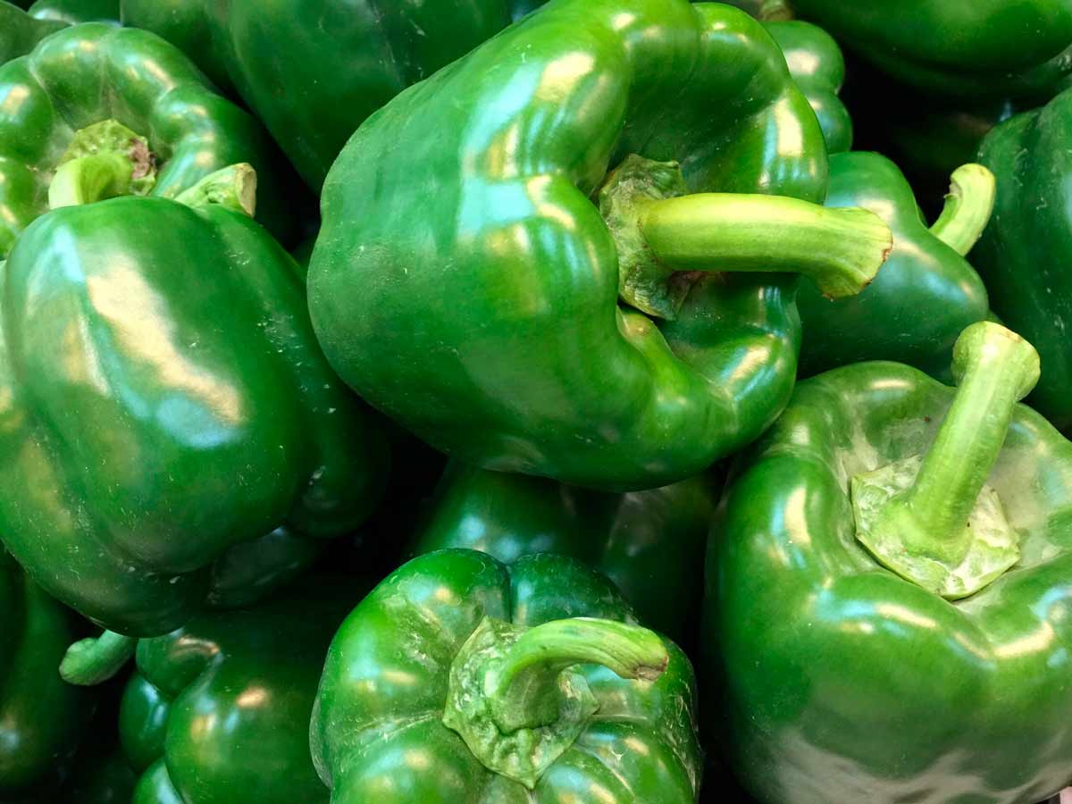 how to choose good capsicum