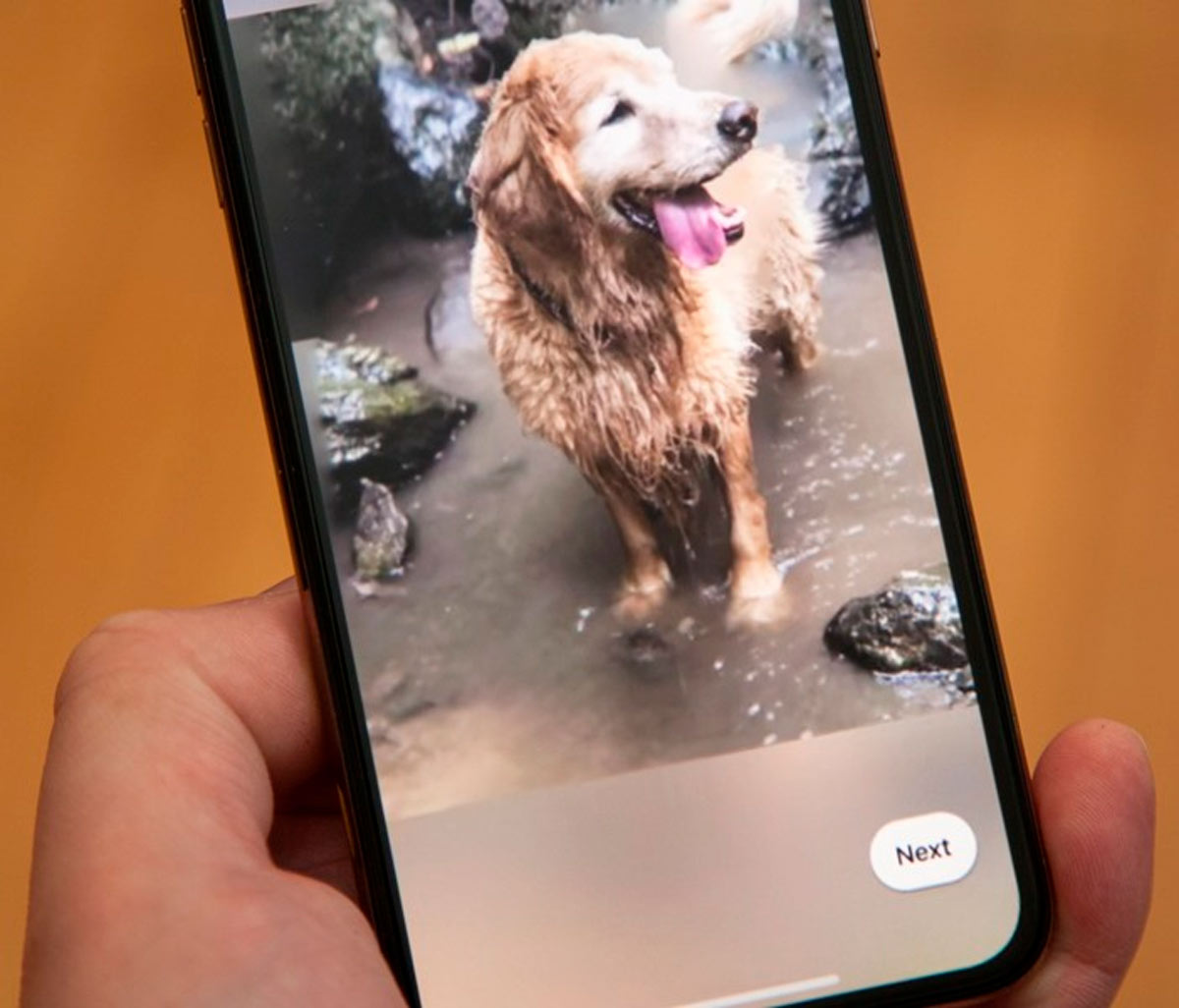 how to create d photo in phone and laptop in hindi