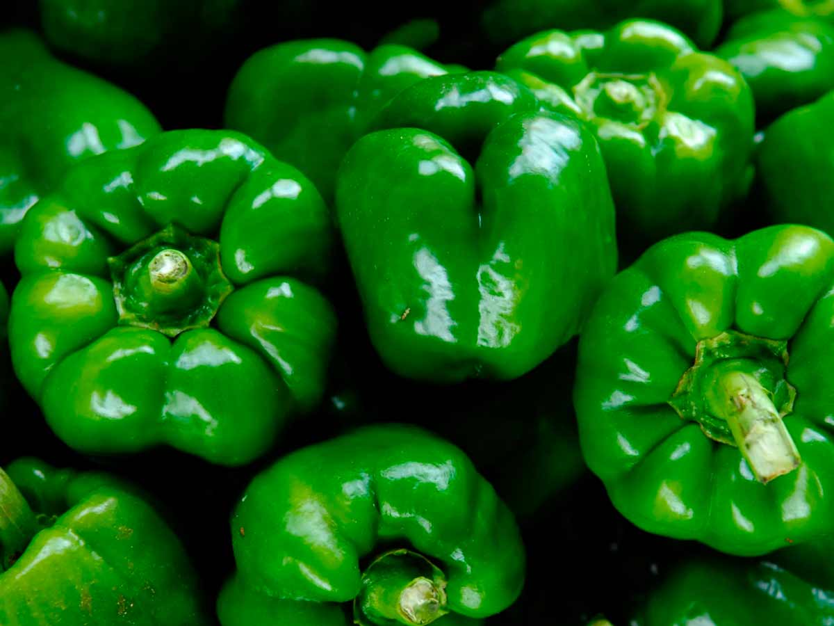 know how to pick good capsicum