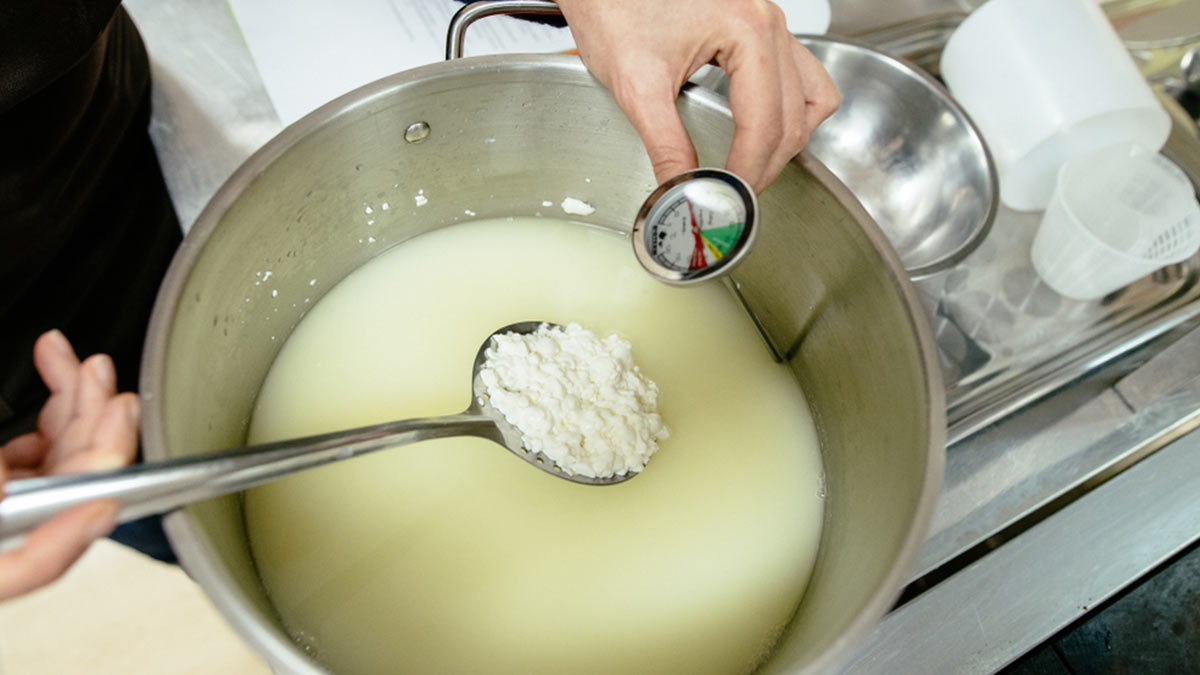 Easy tips to make cream cheeese at home