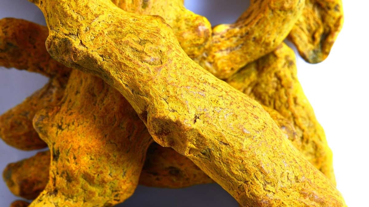 Haridra for sugar control