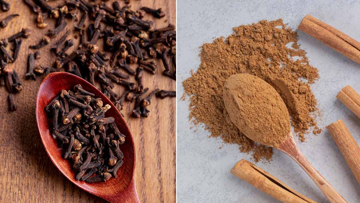 clove and cinnamon