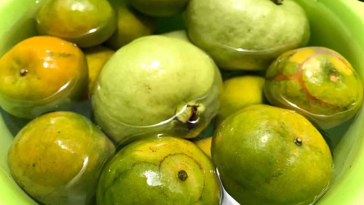 easy tips to remove wax from guava