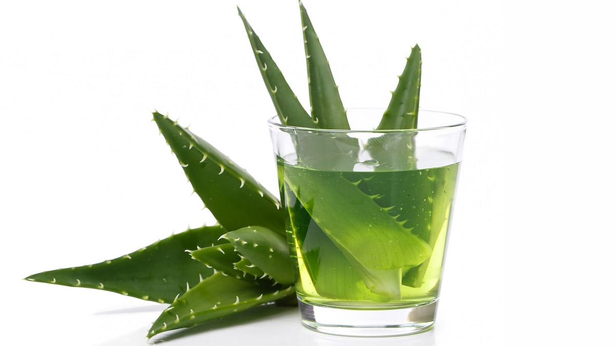 papita with alovera gel