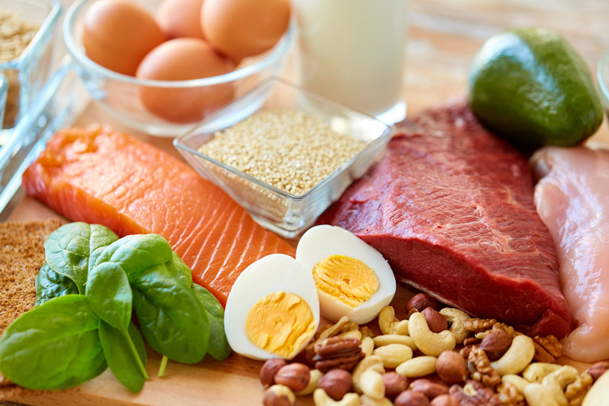 protein rich diet