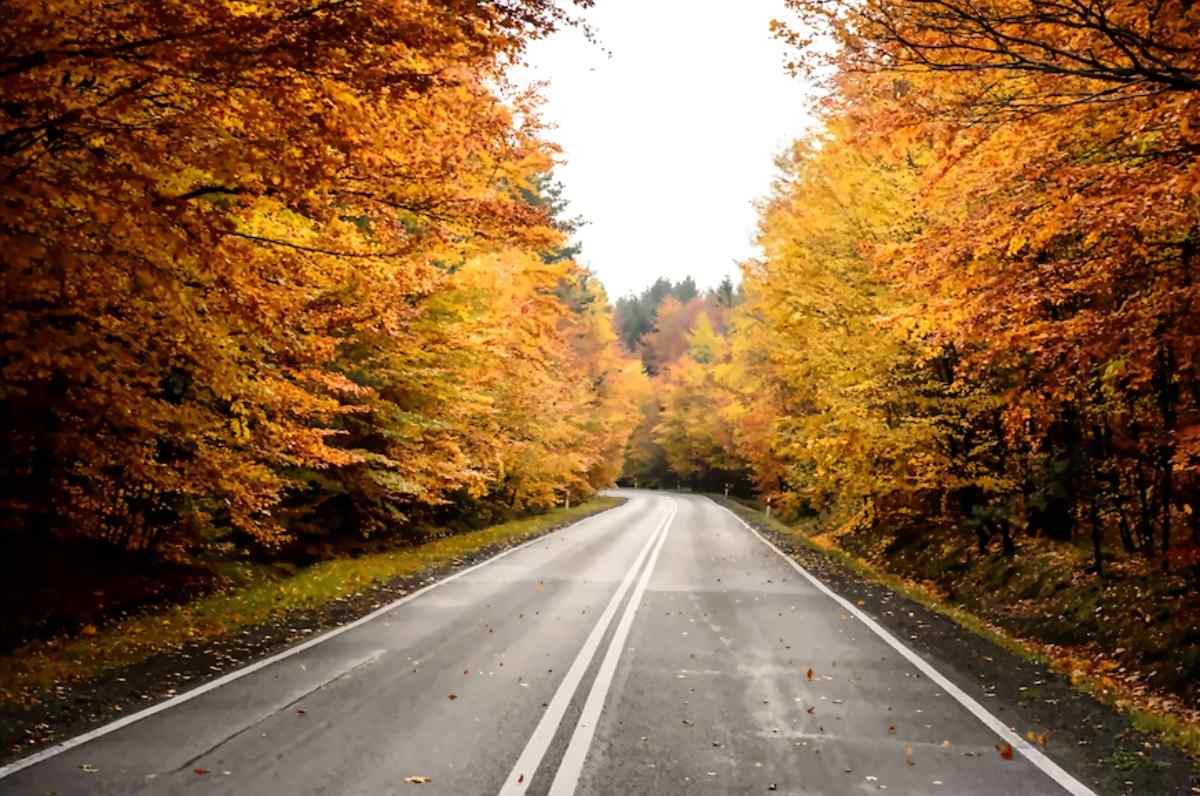 what is the meaning of white lines on road