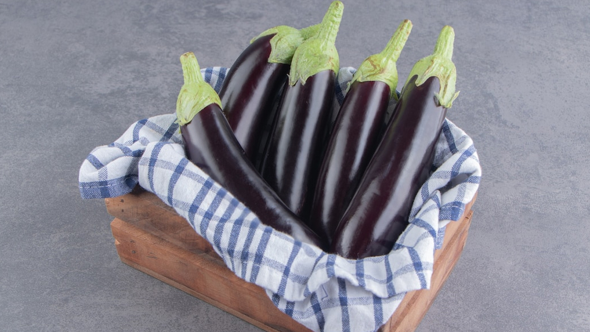 Baingan ka raita easy recipe