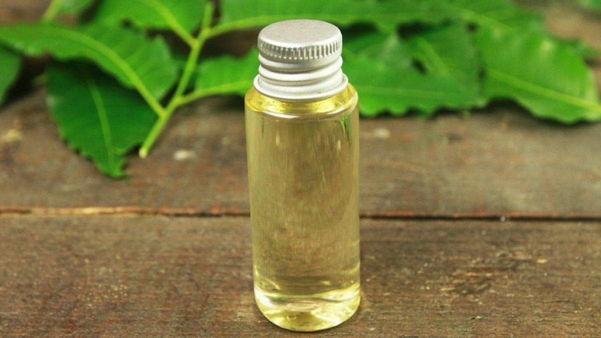 Bugs Removing Tips From Carpet with neem oil