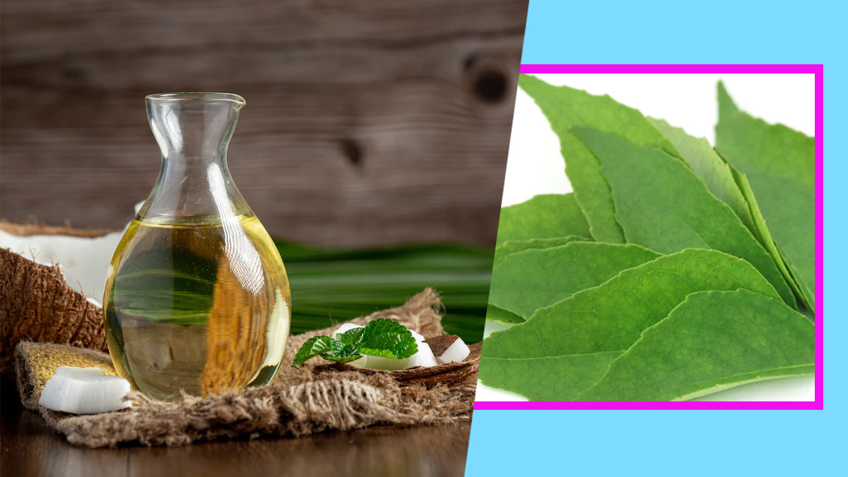 Curry Leave And Coconut Oil