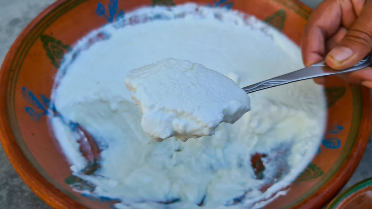 How to store mishti doi