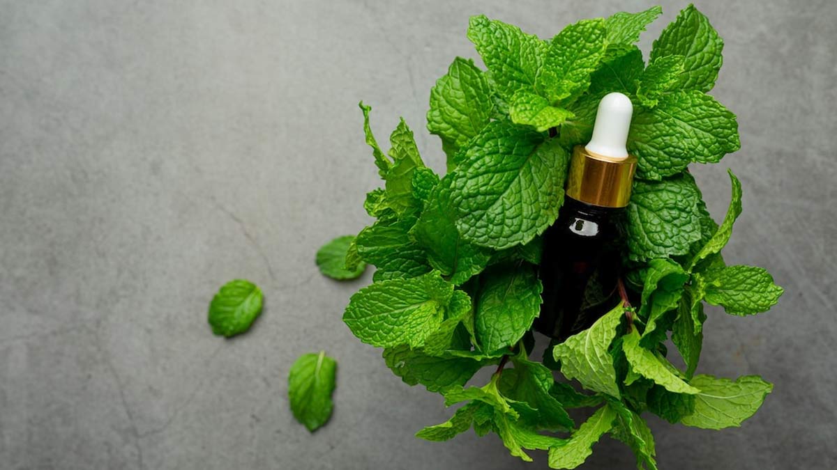 Peppermint oil for tooth