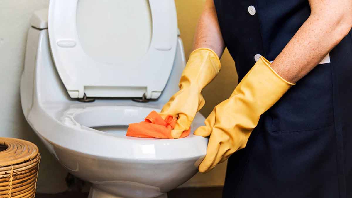 bathroom pot cleaner