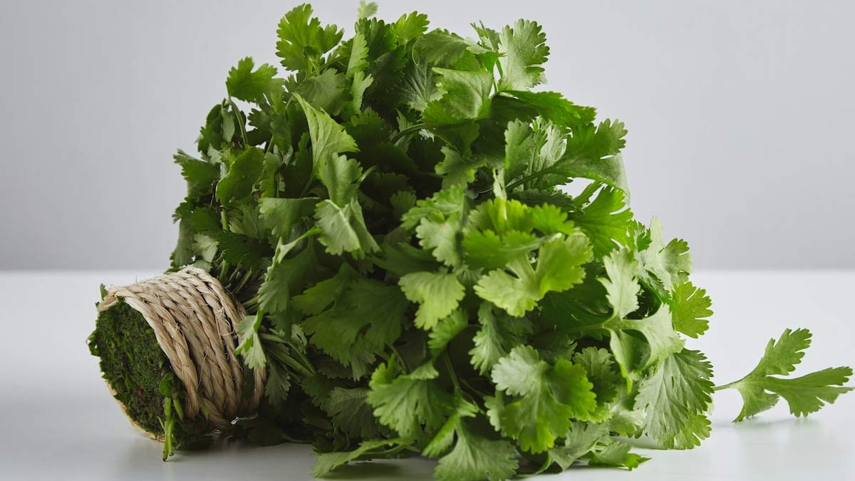 benefits from leaves