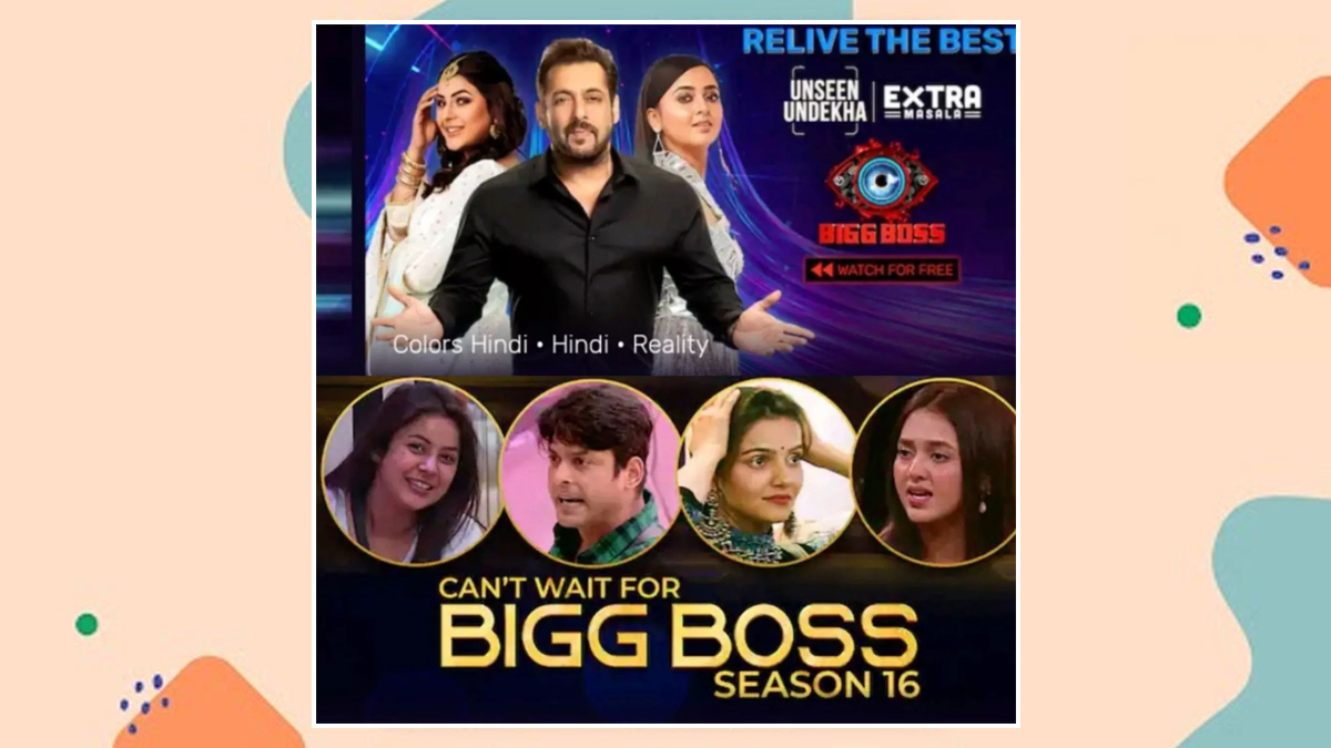 bigg boss contestant