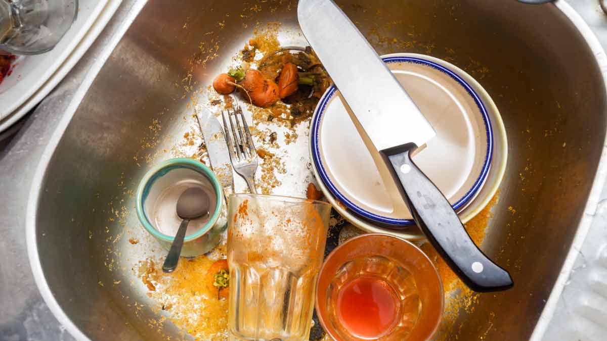 centipede at home kitchen