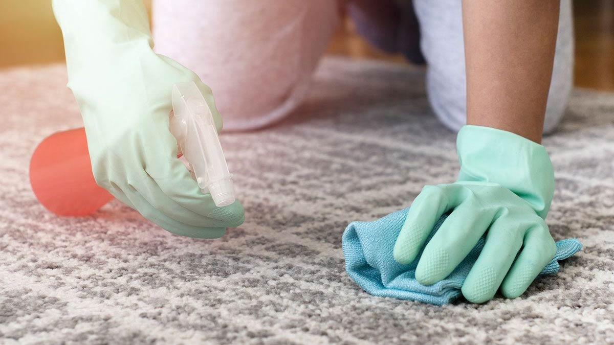 easy tips to  Removing Bugs From Carpet