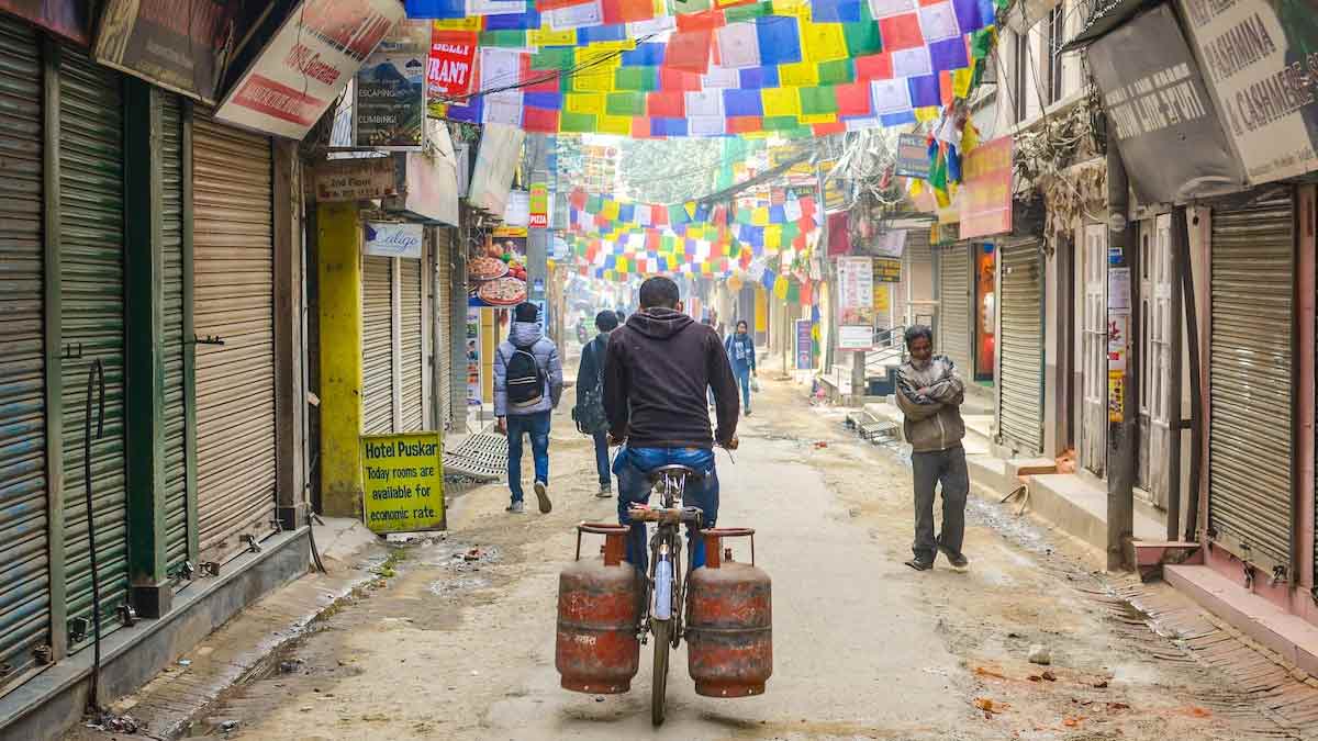 gas cylinder subsidy