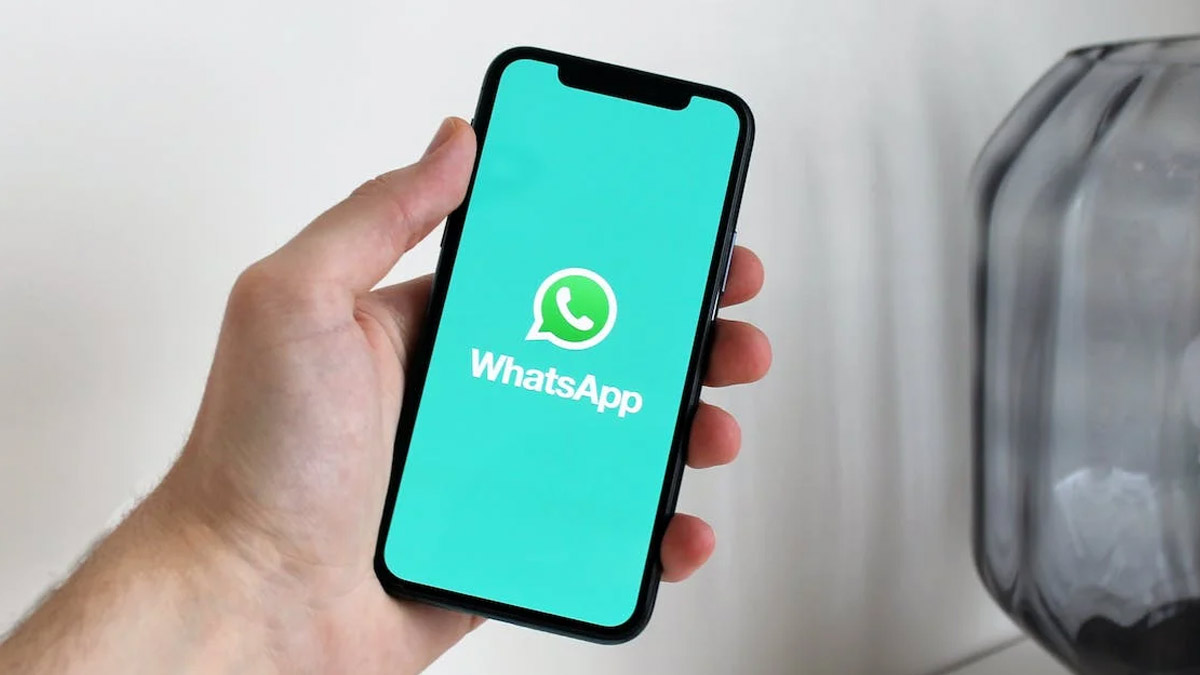 how to check whats app messages