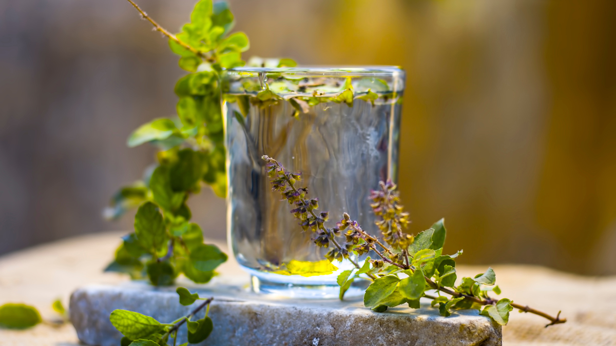 how to take care of skin with tulsi
