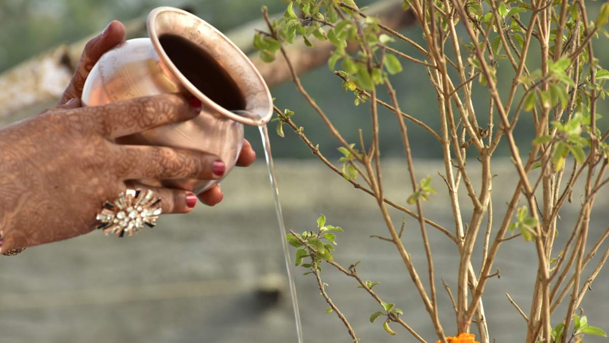 tulsi aka devi lakshmi