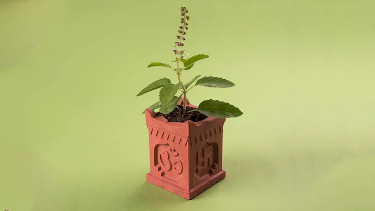 vastu for tulsi