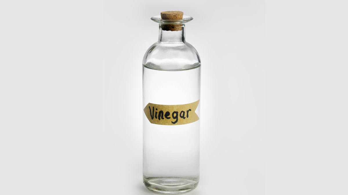 vinegar to get rid of fruit flies