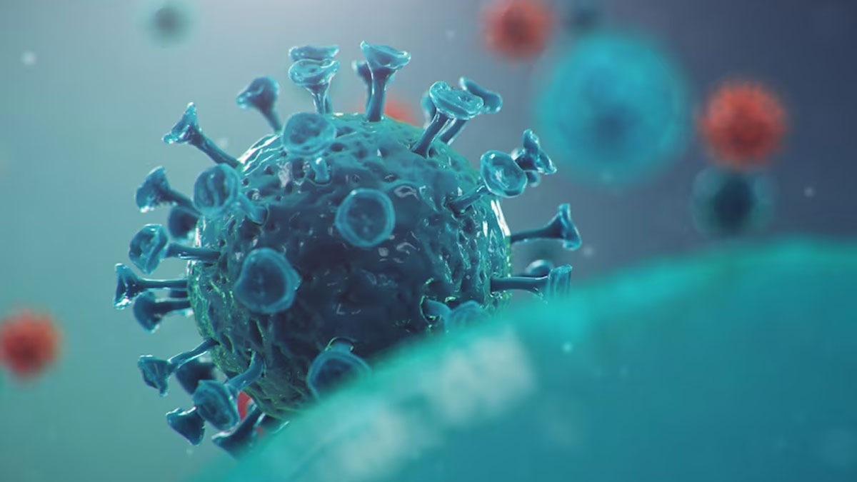 International Arrivals