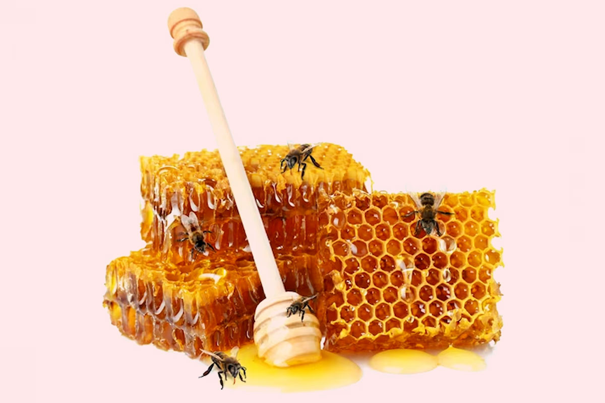 best quality of honey