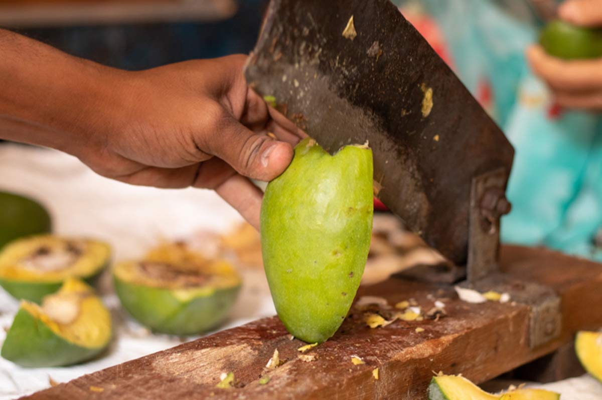 darati for mango cutting