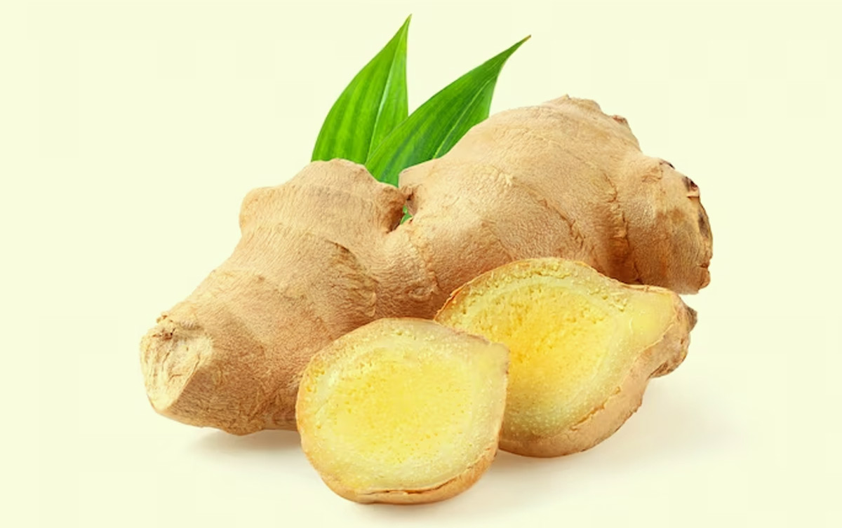 ginger benefits for digestion