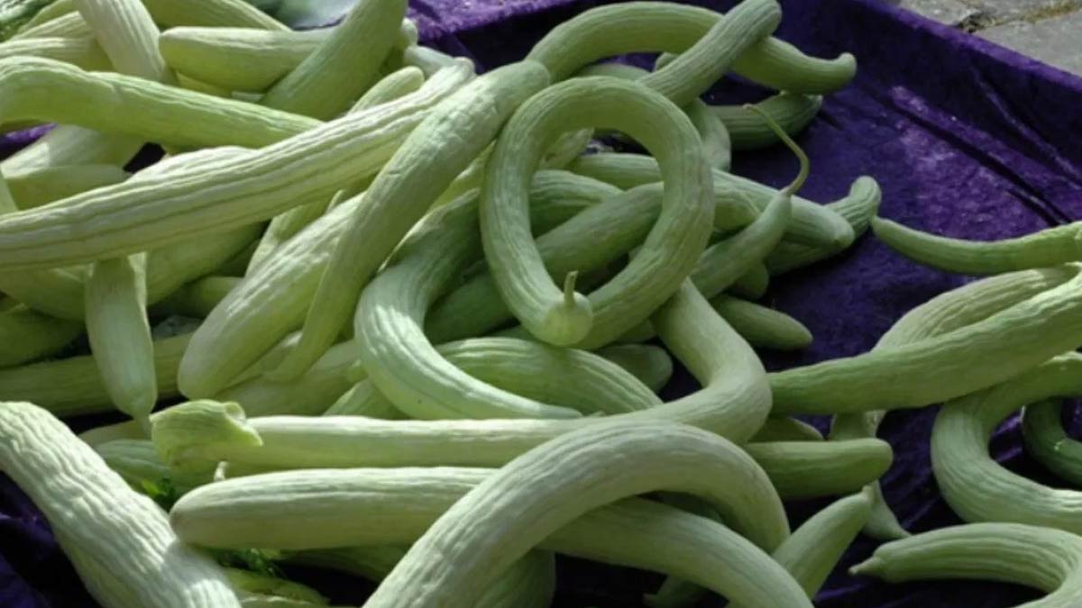 how to choose good kakdi