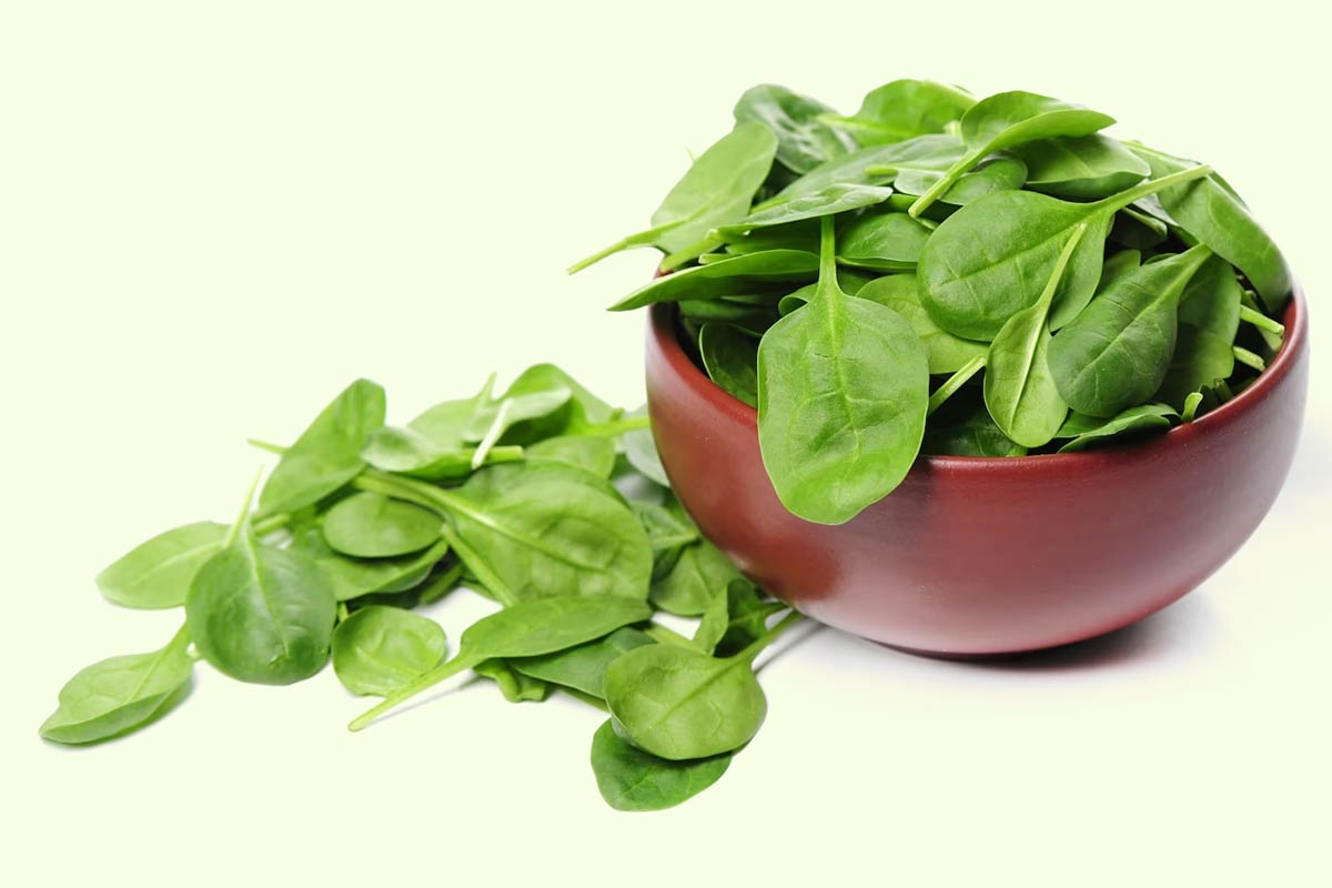 how to gain a fast metabolism