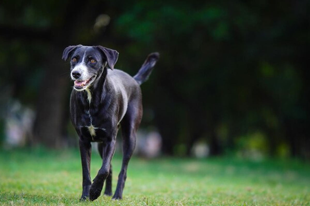 mistakes to avoid if facing sade sati