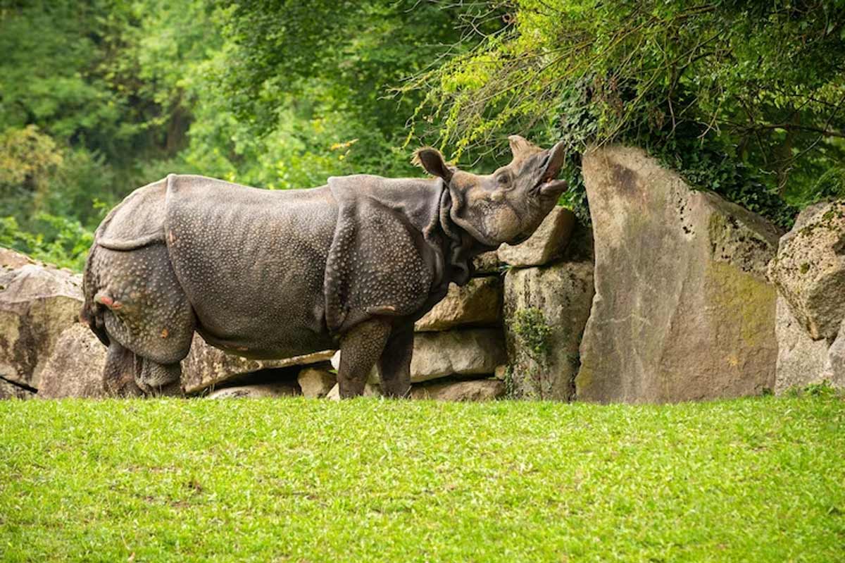 places to visit in assam