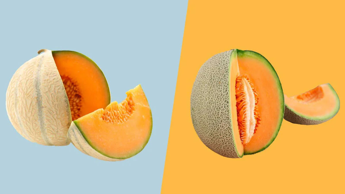 skin benefits of muskmelon