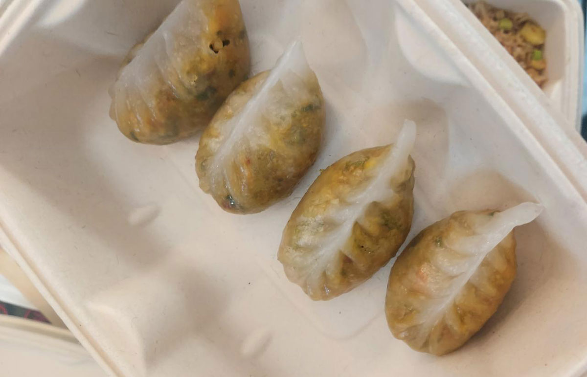 starters house of wolk