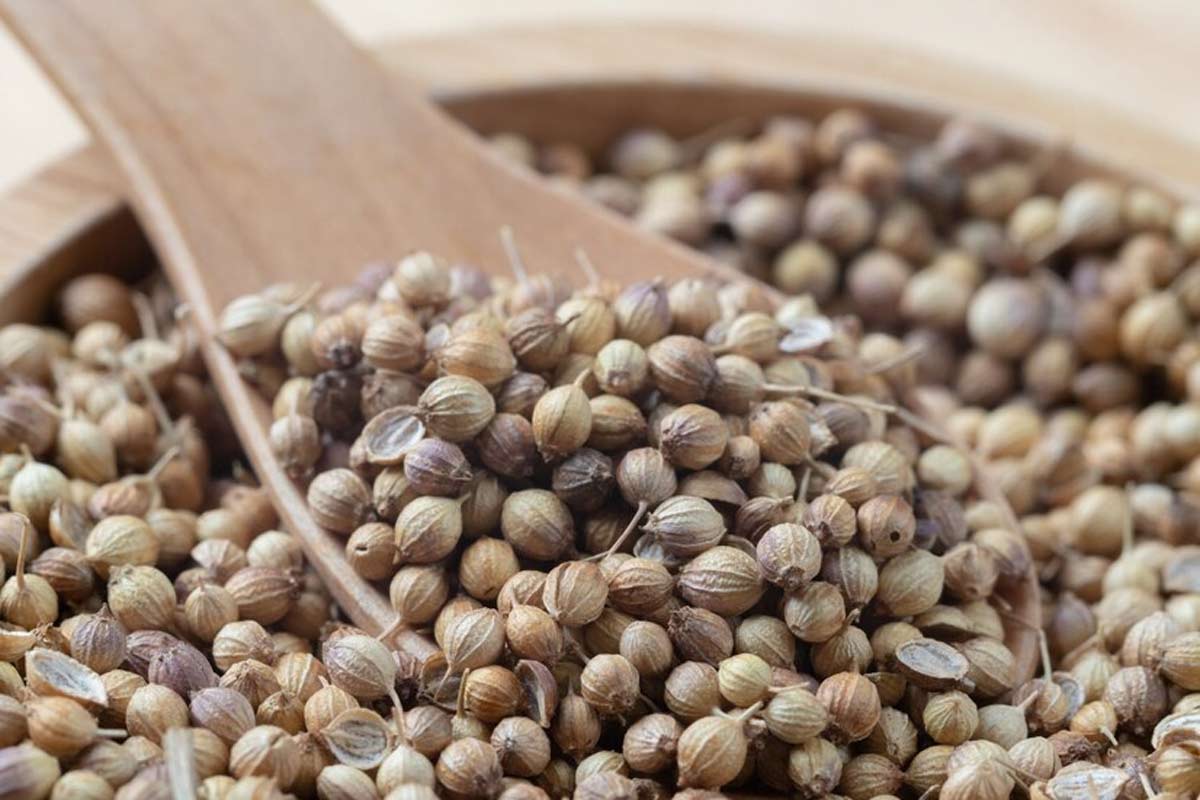 tips to reduce weight